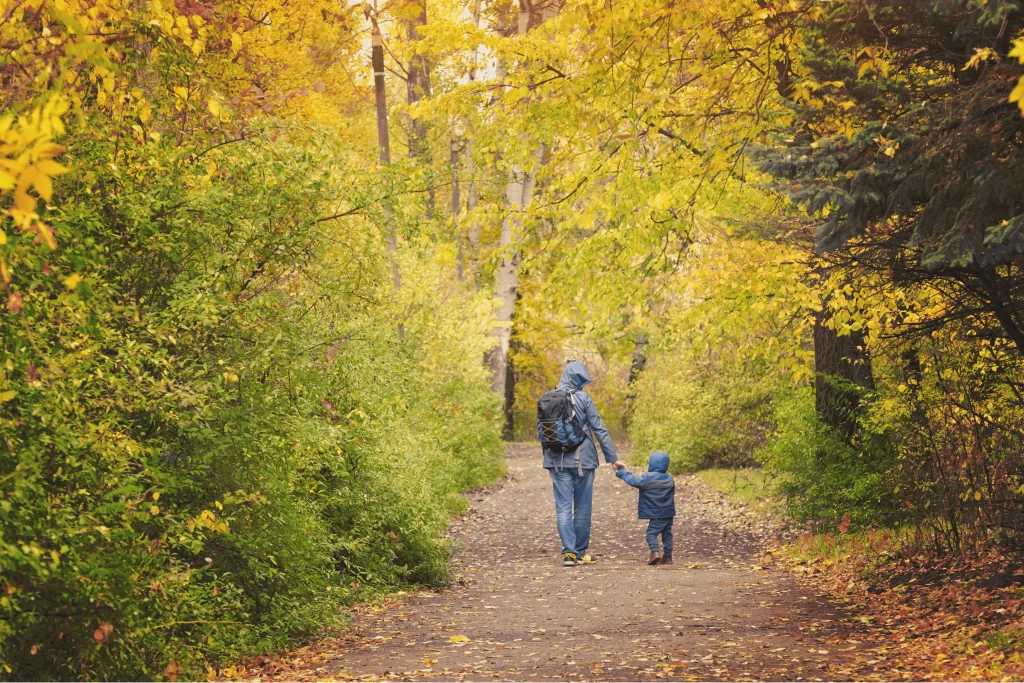 Parent and child walking through an autumn forest, symbolizing the long-term benefits of sustainable shopping for future generations.